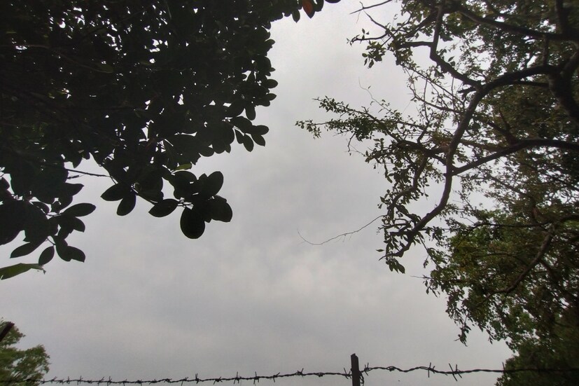 এদিন ভোরবেলা থেকেই আবহাওয়া সামান্য গুমোট হয়ে রয়েছে। সূর্যের দাবদাহ কিছুটা যেন মলিন হয়েছে। তবুও আশঙ্কা থেকে যাচ্ছে আরও জোরদার তাপওপ্রবাহের। সামনের সপ্তাহের পূর্বাভাস অনুযায়ী, সূর্যের তাণ্ডব হতে পারে আরও প্রখর। (Reporte: Nilanjan Banerjee)