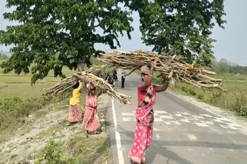 জঙ্গলে