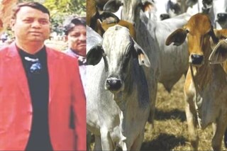 গরু পাচার মামলায় সুপ্রিম কোর্টে স্বস্তি আব্দুল লতিফের