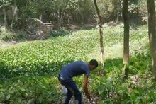 কেউ চমকে উঠছেন, কেউ অবাক! পুকুরপাড়ে ওটা কী, কাছে যেতেই যা কাণ্ডটা হল