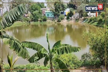 অল্প