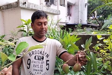 নাম
