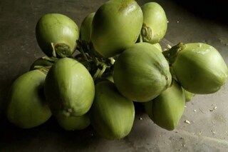 ডাবের জলে হবে গরম দমন 