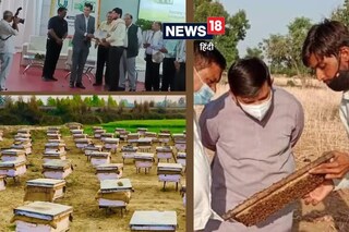 গুজরাতে এবার ‘মিষ্টি বিপ্লব’… ৬ বছরে ৬ গুণ আয় বেড়েছে কৃষকদের, আপনিও পেতে পারেন লাভ