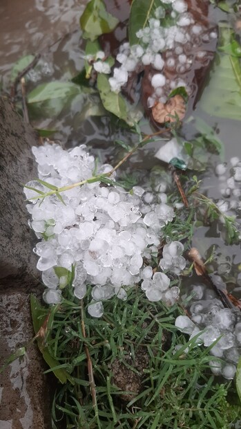 তবে রবিবাসরীয় দুপুরে সবাই যখন খেয়ে বিশ্রাম নিচ্ছেন তখনই শুরু বরফ বৃষ্টি।বিকেল হতেই কালো মেঘ আর তারপর বরফ বৃষ্টি, দেখল পশ্চিম মেদিনীপুরের দাঁতন। ছিটেফোটা নয়, বেশ কয়েক মিনিট ধরে চলল এই শিলাবৃষ্টি।