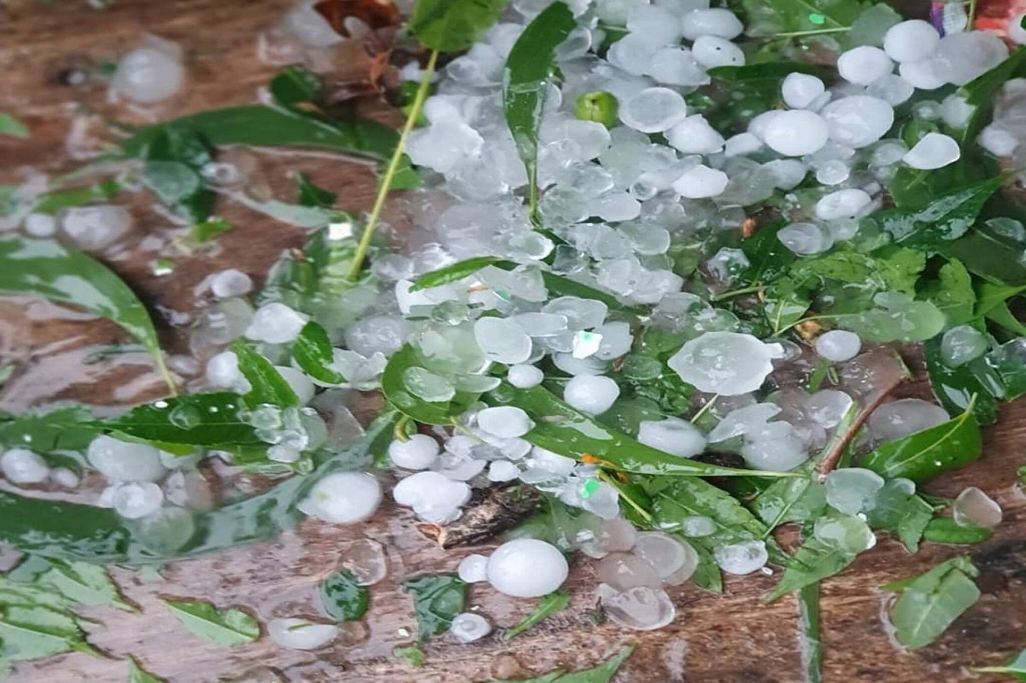 ভরদুপুরেই ঘনকালো আকাশ, দামাল হাওয়া, রাস্তা ঢাকল সাদা বরফের চাদরে