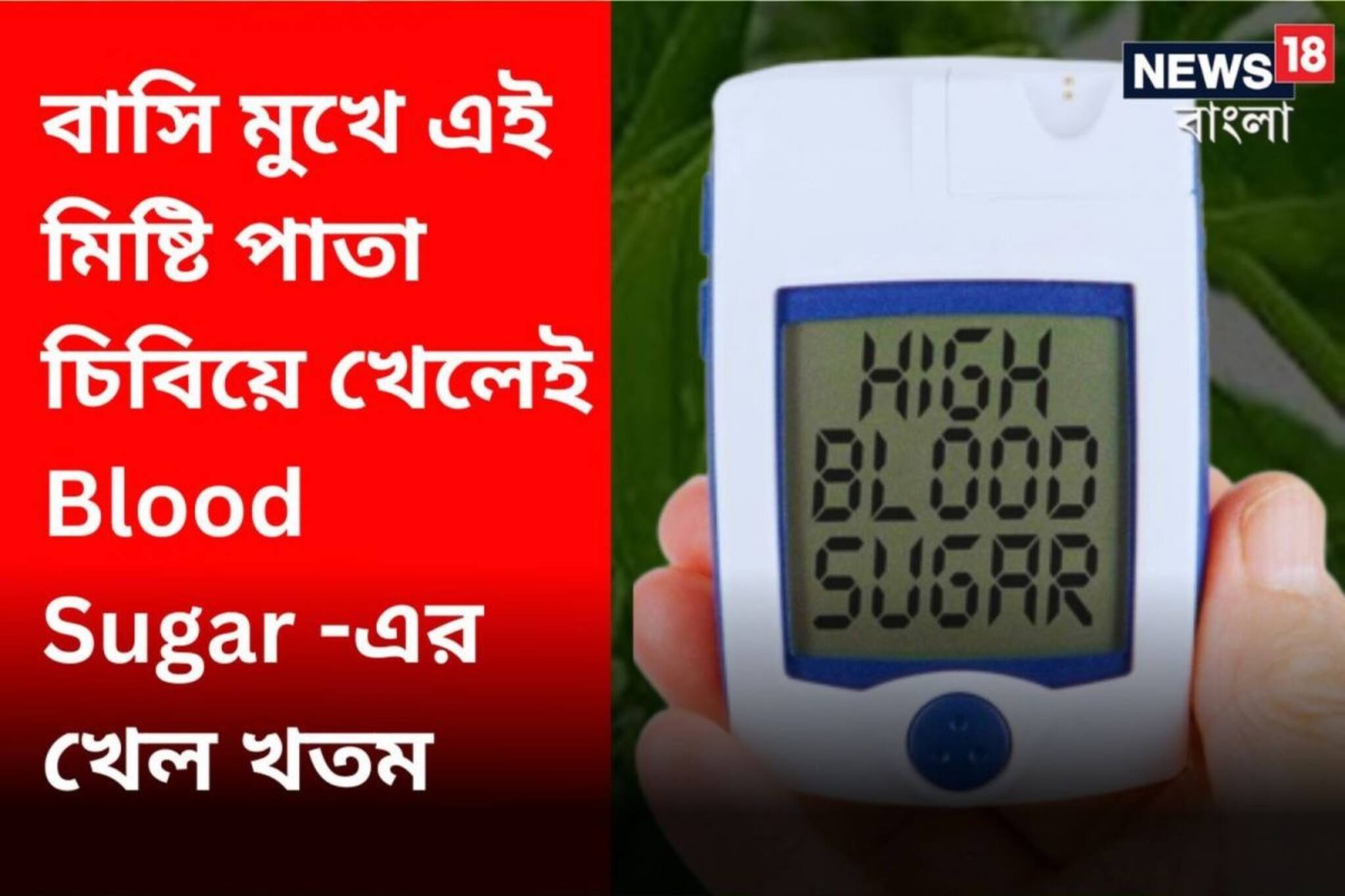 সকাল সকাল বাসি মুখে এই মিষ্টি পাতা চিবিয়ে খেলেই ব্লাডসুগারের খেল খতম