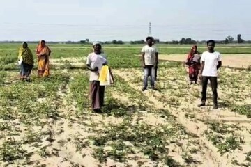 গোঘাট