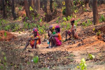 জেলায় জেলায় বইবে 'লু', কবে থেকে নামবে ঝড়বৃষ্টি? জানুন পূর্বাভাস