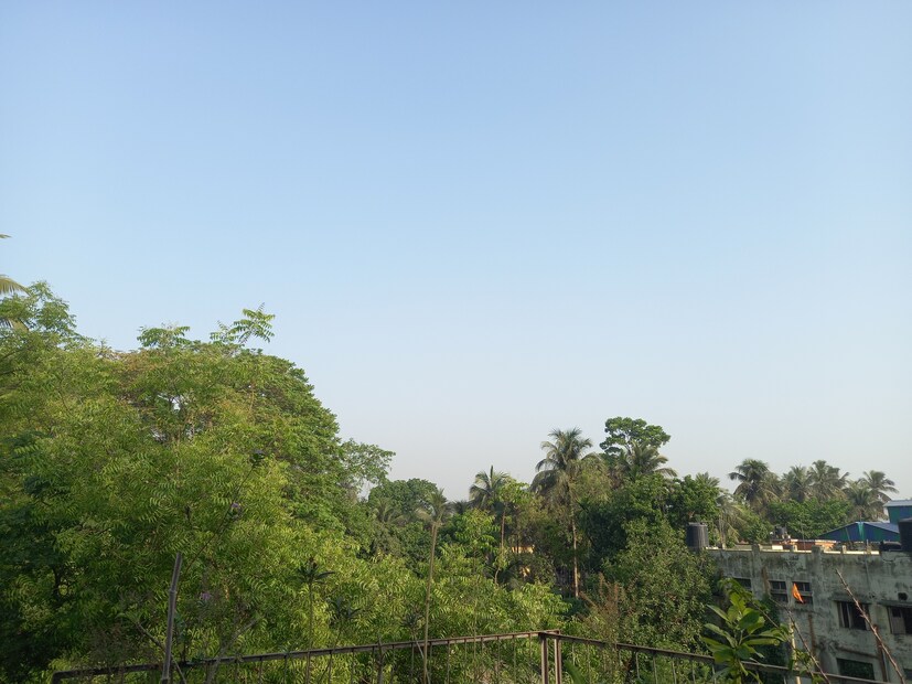 এছাড়া উল্লেখযোগ্য তাপমাত্রা ছিল এদিন আসানসোলে ৩৯.১ ডিগ্রি সেলসিয়াস। পানাগড়ে ৩৯.৪ ডিগ্রি সেলসিয়াস। শ্রীনিকেতনে ৩৯.৪ ডিগ্রি সেলসিয়াস। কলাইকুন্ডা তে ৩৯.৪ ডিগ্রি সেলসিয়াস। বারাকপুরে ৩৯.৬ এবং ক্যানিংয়ে ৩৯ ডিগ্রি সেলসিয়াস। কলকাতার আলিপুরে এদিন সর্বোচ্চ তাপমাত্রা রেকর্ড হয় ৩৮.৬ ডিগ্রি সেলসিয়াস।