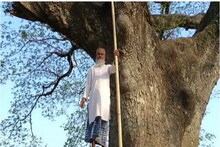 লাঠি হাতে পাহারায় বৃদ্ধ, মুর্শিদাবাদের এই গাছের সামনে কেন থমকে দাঁড়ায় মানুষ?