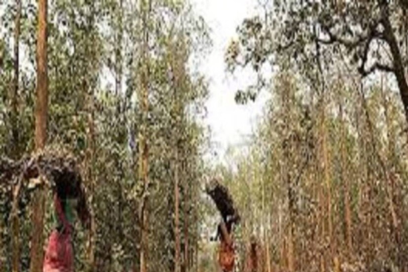 প্রসঙ্গত এবছর বসন্তের শুরু থেকেই গরমের পরিমাণ বাড়ছে। দিনের পর দিন বাড়ছে রোদের তাপ। গরমের আগেও দিনের সর্বোচ্চ তাপমাত্রা পৌঁছাচ্ছে ৪০ ডিগ্রি সেন্টিগ্রেডে। পশ্চিম মেদিনীপুর জেলা জুড়ে তাপপ্রবাহের আশঙ্কা করছে স্থানীয় হাওয়া অফিস।