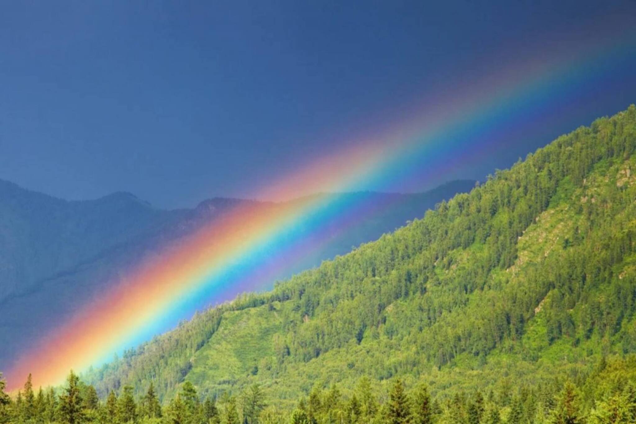 আদিম কারণে পুরুষের পছন্দ নীল রং, নারীদের পছন্দ সবুজ গোলাপি, জানুন সেই রহস্য