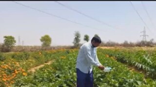 এখন মাসে লক্ষ লক্ষ টাকা আয় করেন চুরুর বাসিন্দা