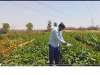 এখন মাসে লক্ষ লক্ষ টাকা আয় করেন চুরুর বাসিন্দা