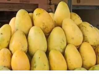 উত্তরপ্রদেশের মোরাদাবাদে এই সাদা আমেরই চাহিদা বেড়েছে বলে জানা গিয়েছে