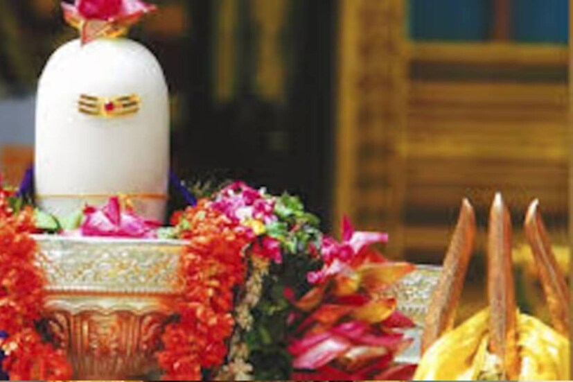 নীলকণ্ঠ বা শিবপুজোর সঙ্গে জড়িয়ে গিয়েছে সন্তানের মঙ্গলকামনায় প্রার্থনাও৷ সন্তানসন্ততির কল্যাণ প্রার্থনা করে পুজো বলে এই তিথিতে নীলের সঙ্গে যুক্ত হয় মা ষষ্ঠীর নাম৷ সব মিলিয়ে এই পার্বণ পরিচিত হয় নীলষষ্ঠী পুজো বলে৷ 