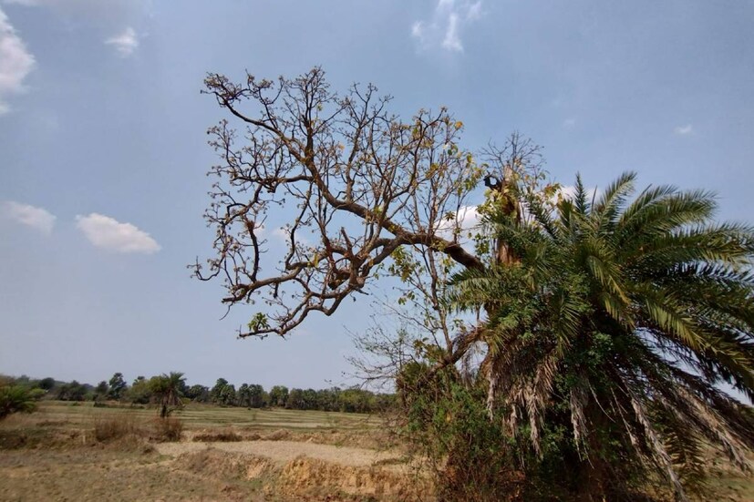 গরমের হাত থেকে বাঁচতে ছাতা মাথায় দিয়ে ও মুখ বেঁধে বেরোতে দেখা যাচ্ছে সকলকে। একটু বেলা বাড়ার সঙ্গে , সঙ্গে ঠান্ডা পানিয়র দোকান গুলিতে ভিড় বাড়ছে মানুষের। প্রতিবছরই পুরুলিয়ায় তীব্র গরম পড়ে। এ বছরও তার কিছু বিকল্প হচ্ছে না।