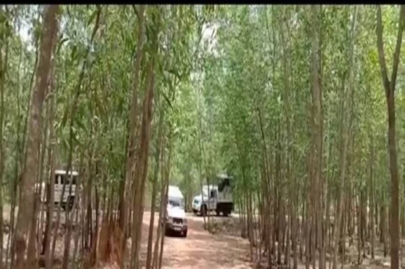 হাওয়া অফিস সূত্রে খবর, সোমবার দিনের সর্বোচ্চ তাপমাত্রা থাকবে ৪০ ডিগ্রি সেন্টিগ্রেড। এবং দিনের সর্বনিম্ন তাপমাত্রা থাকবে ২৬ ডিগ্রি সেন্টিগ্রেডের আশেপাশে। বেলা বারোটার পর থেকে সেই তাপমাত্রার পরিমাণ ক্রমশ বাড়বে বলে জানিয়েছে স্থানীয় হাওয়া অফিস।