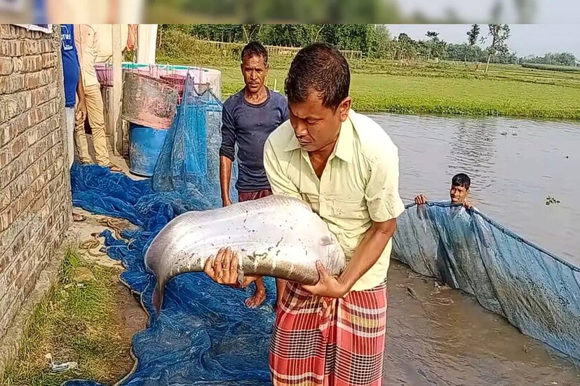 মুইঠ্যার জন্য প্রথমে মাছ ভাপিয়ে নেওয়া হয়৷ তার পর সিদ্ধ মাছ দুই হাতের চেটোয় চেপে চ্যাপ্টা আকার দেওয়া হয়৷ এর পর সেটি ভাজা হয়৷ ভাজার পর ঝোল রান্না করা হয়৷