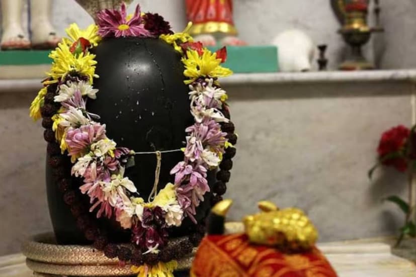 Disclaimer: এই প্রতিবেদনটি কেবলমাত্র সাধারণ তথ্যের জন্য, তাই বিস্তারিত জানতে হলে সর্বদা বিশেষজ্ঞের পরামর্শ নিন।