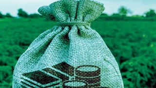 কৃষকরা জানান, কম খরচে ঘৃতকুমারী, তুলসী, অশ্বগন্ধা, আমলকি ইত্যাদি চাষ করে দ্বিগুণ লাভ পাচ্ছেন