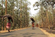 প্রখর রোদে পুড়ছে জঙ্গলমহল, শুনশান পথে লু প্রবাহের আশঙ্কা