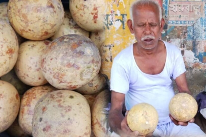 যাঁদের পাইলস বা অর্শ আছে, তাঁরাও নিয়মিত বেল খান৷ গ্রীষ্মকালীন অসুখ সারাতে বেলের ভিটামিন সি কার্যকর৷