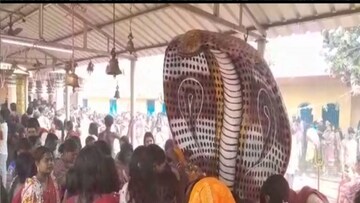 নীলষষ্ঠীর