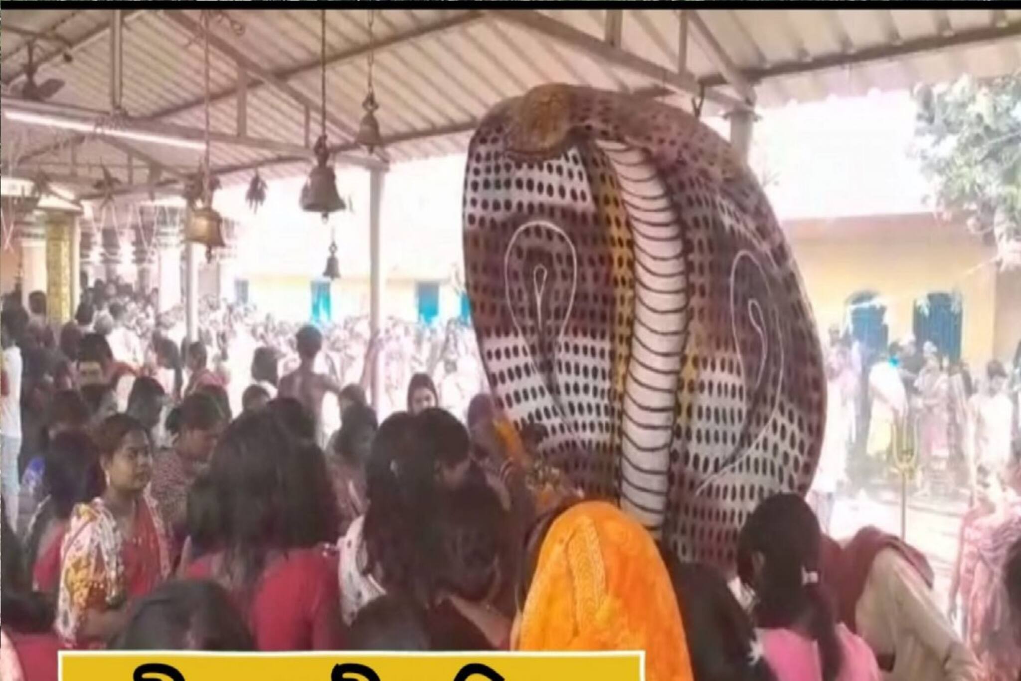 বছরের শেষ শিবের ব্রত! নীল ষষ্ঠীতে আসানসোলের চন্দ্রচূড় মন্দিরে ভক্তদের লাইন