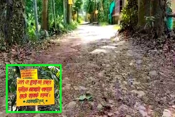 উত্তর