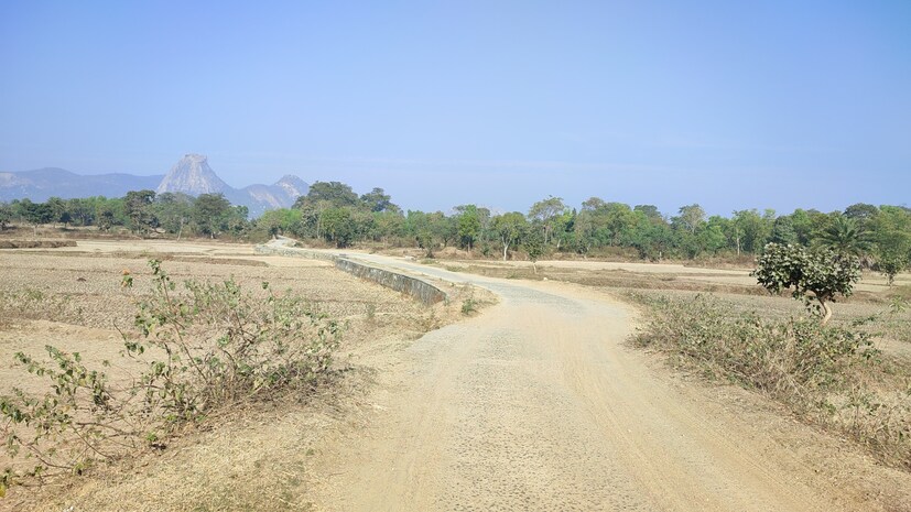 বিগত দিনগুলোর তুলনায় তাপমাত্রার পারদ বেশ অনেকটাই বেড়েছে গোটা রাজ্য জুড়ে। সকালের দিকে আংশিক মেঘলা আকাশ থাকতে দেখা গেলেও একটু বেলা বাড়তেই বাড়ছে অস্বস্তি। এখন থেকেই হাঁসফাসানি গরমে অতিষ্ঠ হচ্ছে বঙ্গবাসী। ‌ এপ্রিলেই পড়তে চলেছে তীব্র গরম এমনটাই পূর্বাভাস মিলেছে হাওয়া অফিস সূত্রে। Input-  Sarmistha Banerjee
