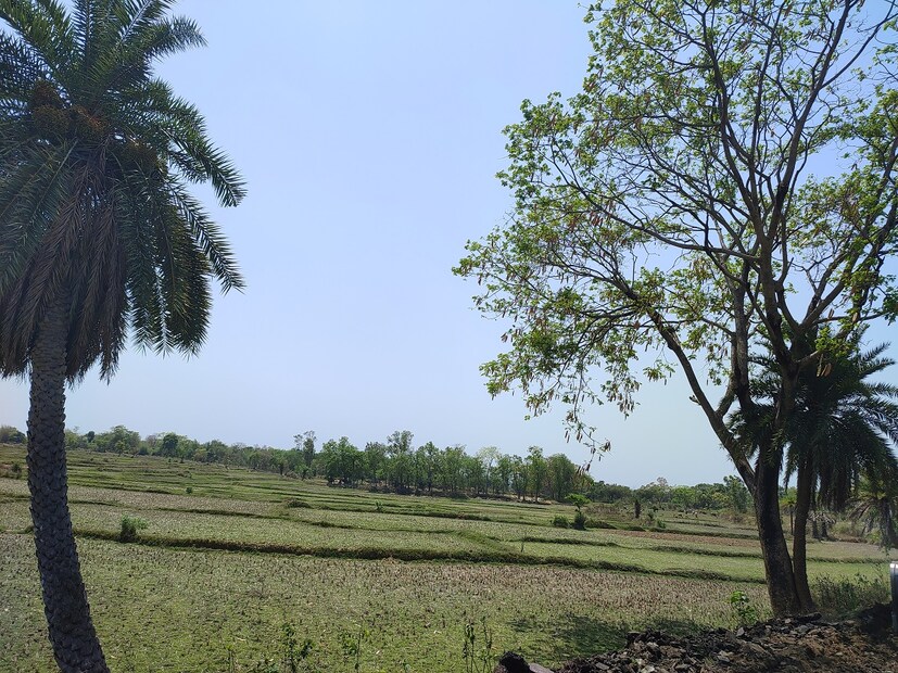 পুরুলিয়া : চৈত্র মাসেই আগুনে ঝলসে যাওয়ার মতো পরিস্থিতি৷  প্রায় ৪০ ডিগ্রিতে পৌঁছাবে তাপমাত্রা, ওয়েদার আপডেটে জানাচ্ছে আবহাওয়া দফতর। হালকা ঠান্ডার আমেজেই কেটেছে গোটা মার্চ মাস। ঝড় , বৃষ্টির কারণে তাপমাত্রার পারদ অনেকটাই কম ছিল। তীব্র গরমের হাত থেকে রক্ষা পেয়েছিল বঙ্গবাসী।