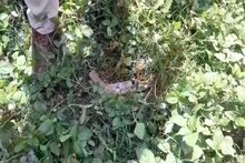 শ্মশানের ডাম্পিং গ্রাউন্ডে ওটা কী? সামনে গিয়ে চোখ কপালে এলাকাবাসীর!