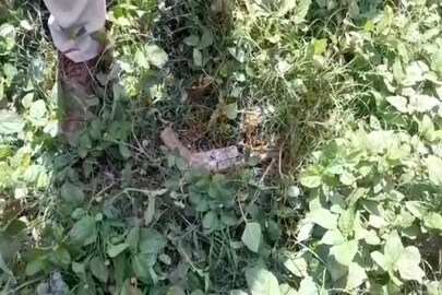 শ্মশানে চাঞ্চল্য