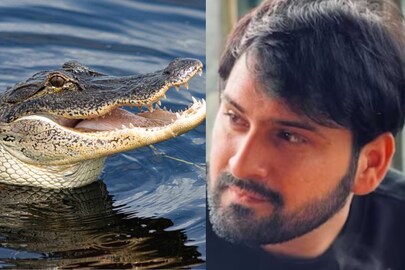 দরজা খুলেই কুমির দেখলেন সিদ্ধার্থ