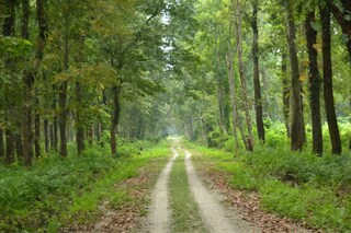 শিলিগুড়ি