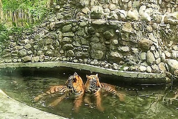 জলে