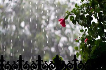 হঠাৎ বদল আবহাওয়ায়, আকাশ ঢাকছে কালো মেঘে, আজ কোন কোন জেলায় কাঁপিয়ে বৃষ্টি? জানুন হঠাৎ বদল আবহাওয়ায়, আকাশ ঢাকছে কালো মেঘে, আজ কোন কোন জেলায় কাঁপিয়ে বৃষ্টি? জানুন