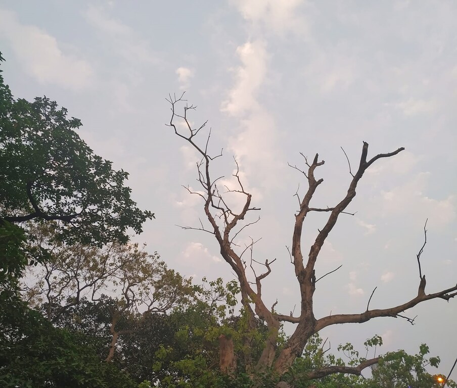 বিক্ষিপ্তভাবে বজ্রবিদ্যুৎ-সহ বৃষ্টি চলবে। আজ, শুক্রবার বৃষ্টির সম্ভাবনা তুলনামূলকভাবে কম। আগামিকাল, শনিবার থেকে ফের বৃষ্টি বাড়বে রাজ্যে। রবিবার ঝড়-বৃষ্টি বেশি হওয়ার সম্ভাবনা। তাপমাত্রার উল্লেখযোগ্য পরিবর্তন নেই। আগামী ৬-৭ দিনে তাপপ্রবাহের কোনও সম্ভাবনা নেই।