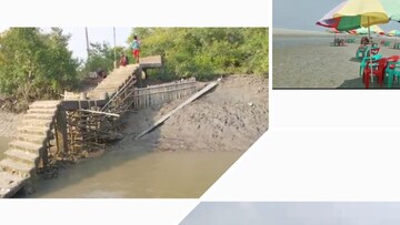 সুন্দরবনের