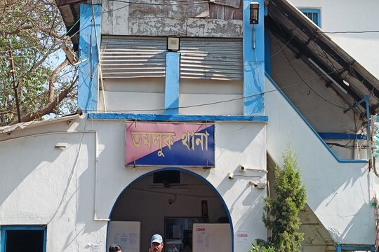 ভিন