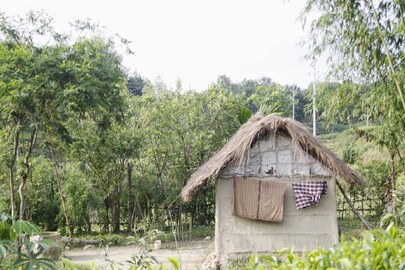চা বাগানের শ্রমিকের বাড়ি (প্রতীকী ছবি)