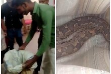 বস্তাবন্দি সাপ নিয়ে হাসপাতালে ঢুকে পড়েন ব্যক্তি! কারণ জানলে অবাক হবেন