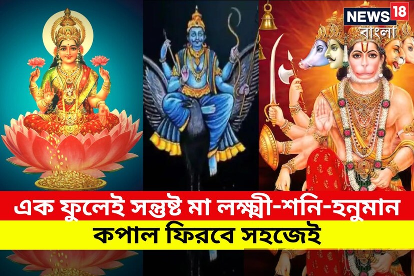 অপরাজিতা ফুল অত্যন্ত প্রিয় মা দুর্গা, কালী ও পবনপুত্র হনুমানের ৷ তন্ত্র সাধনায় এই ফুল ভীষণ ভাবে কাজে লাগে ৷ প্রতীকী ছবি ৷
