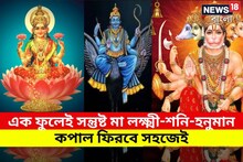 নীল ফুলেই বাজিমাত! সমস্ত দুঃখ কষ্ট দূর ফিরবে আর্থিক অবস্থা, সব সময়েই আশীর্বাদ