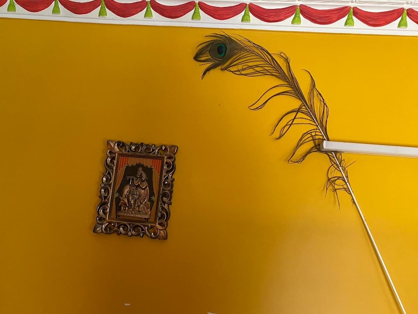 তবে মাঝেমধ্যেই ঘর থেকে বিশেষ করে রান্নাঘর থেকে এই টিকটিকি সরিয়ে ফেলার প্রয়োজন আছে। ঘরে বসেই একটু মাথা খাটিয়ে খুব সহজে মুক্তি পেতে পারেন এই টিকটিকির হাত থেকে। প্রতীকী ছবি ৷