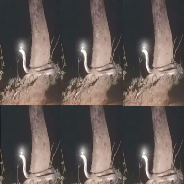 তবে ভাইরাল হওয়া ছবি নিয়েই অনেকেই শুরু করেছেন তর্ক ও বিতর্কও ৷ 