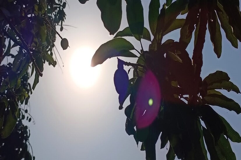 তীব্র গরমের জন্য বিশেষভাবে পরিচিত পশ্চিম বর্ধমান, বাঁকুড়া, বীরভূমের মতো জায়গাগুলিতে রয়েছে বিশেষ সতর্কতা। ৪০- এর কোটা ছাড়িয়ে তাপমাত্রার পারদ আরও অনেকটা বাড়তে পারে বলে অনুমান আবহাওয়াবিদদের। আগামী ১৫ এপ্রিল পর্যন্ত বৃষ্টিপাতের তেমন কোনও সম্ভাবনা নেই বলেই জানা গিয়েছে হাওয়া অফিস সূত্রে।