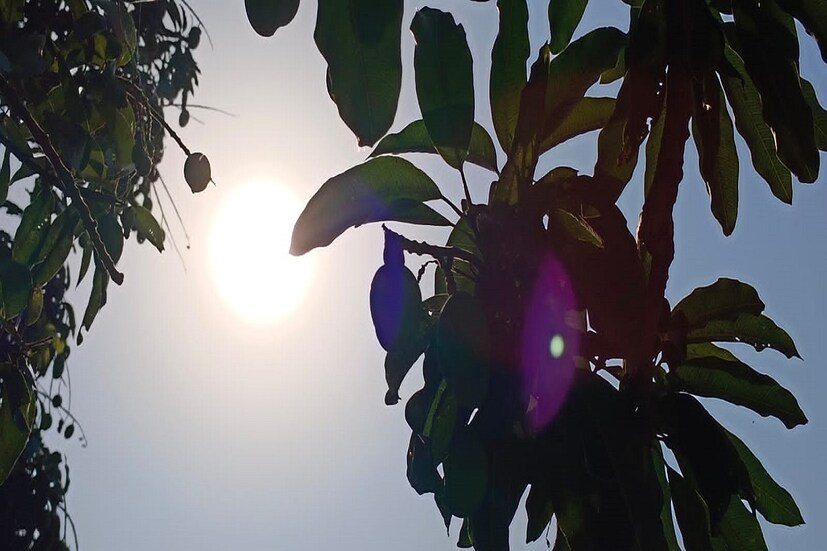 তীব্র এই গরম উপেক্ষা করলে হিট স্ট্রোকের সম্ভাবনা রয়েছে বলে জানিয়েছেন চিকিৎসকরা। সবমিলিয়ে বছরের শেষ লগ্নে এসে আবহাওয়ার এই বিশাল পরিবর্তনে আতঙ্কের প্রহর গুনছে দক্ষিণবঙ্গ। তীব্র দাবদাহ এবং তপপ্রবাহের হাত থেকে রক্ষা নিজেকে রক্ষা করতে বলছেন বিশেষজ্ঞরা। Input-  Nayan Ghosh